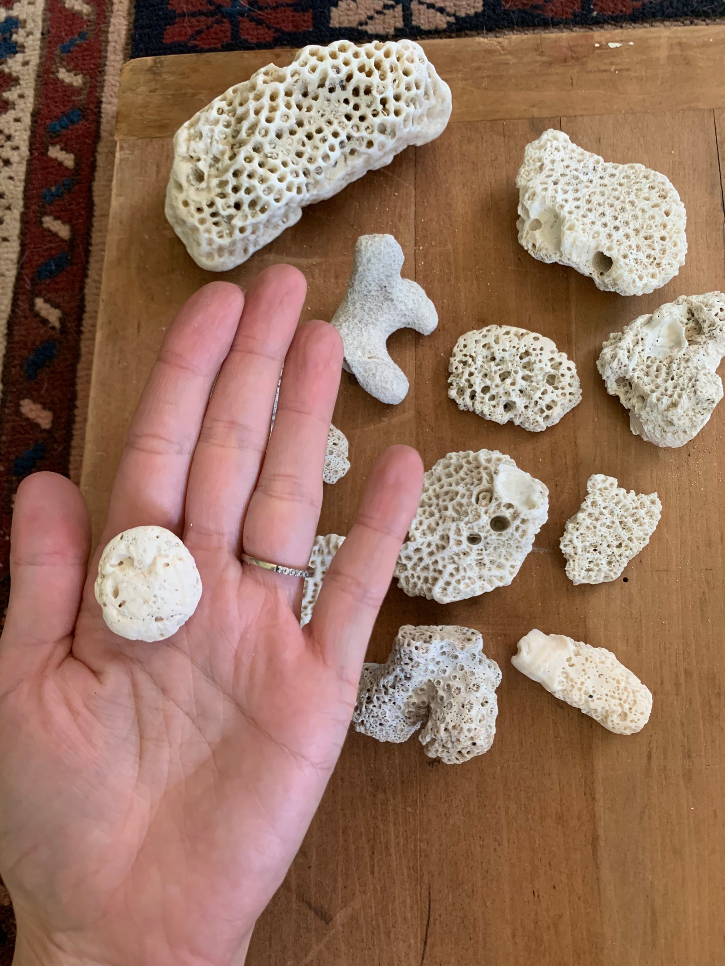 Vintage coral lot