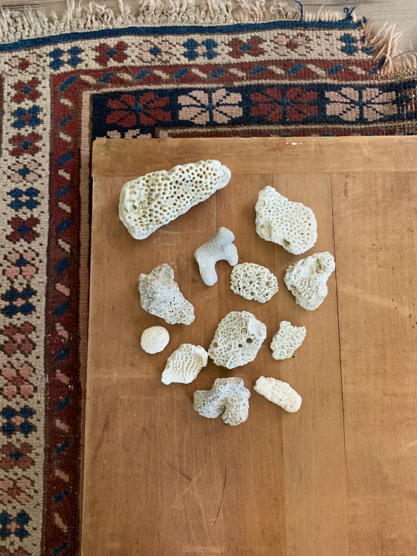 Vintage coral lot