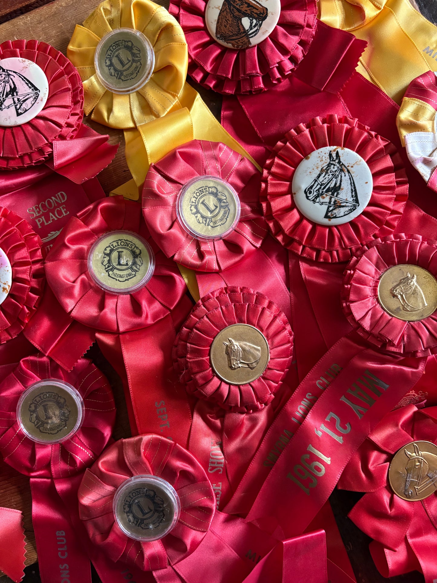 Vintage fair horse showing ribbons