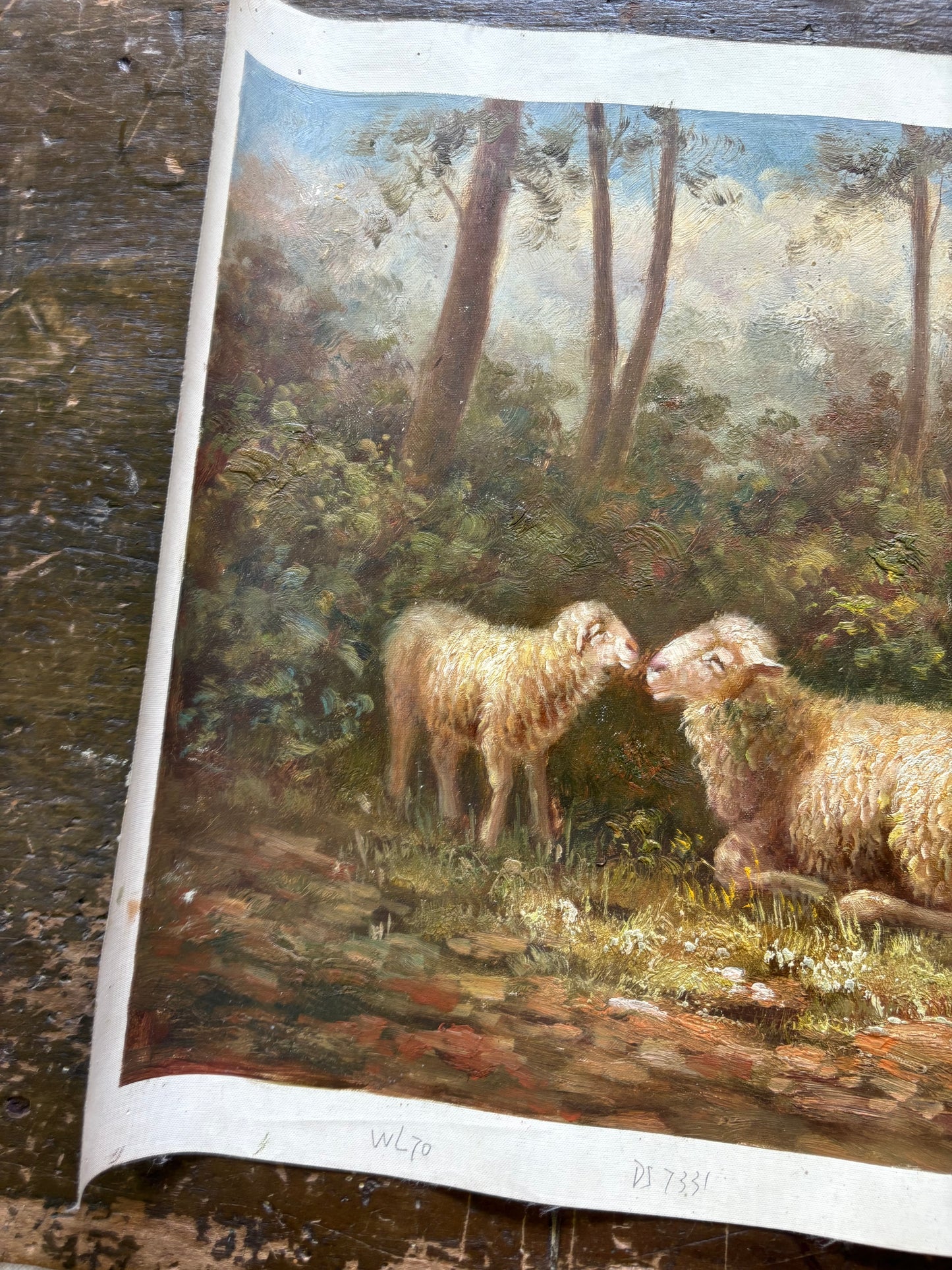 Vintage oil sheep painting on canvas