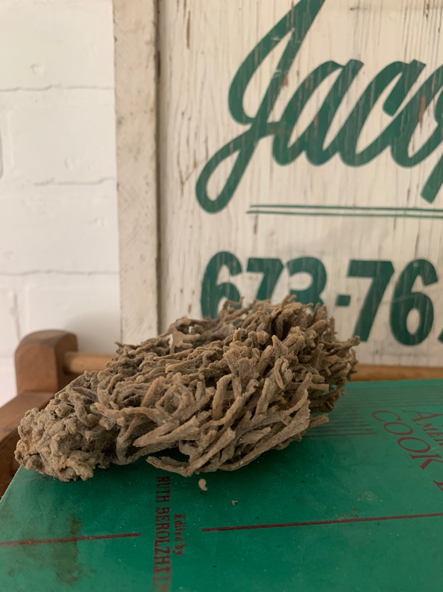 Natural sea sponge