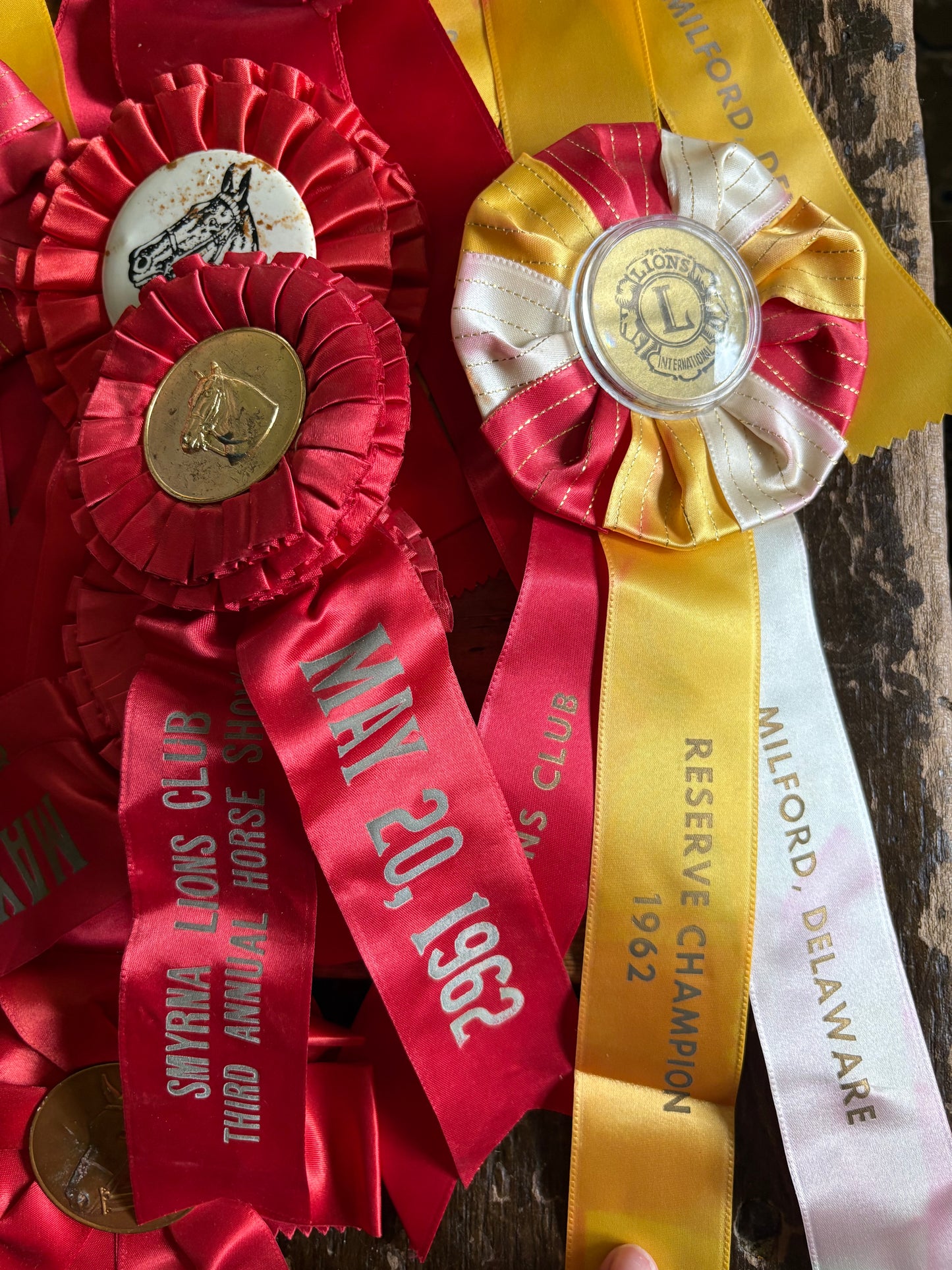 Vintage fair horse showing ribbons
