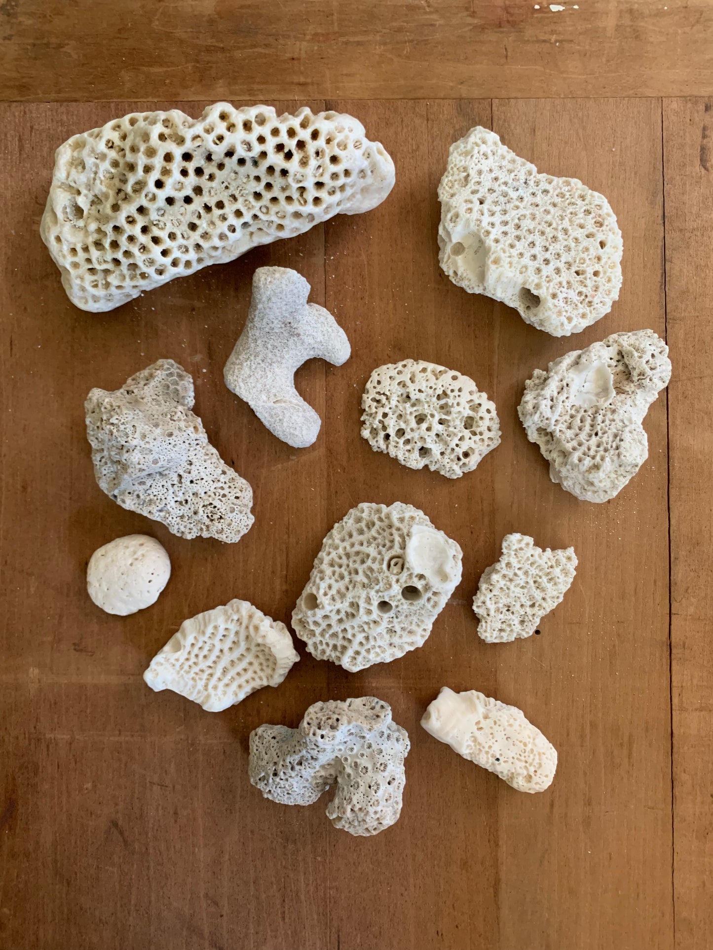 Vintage coral lot