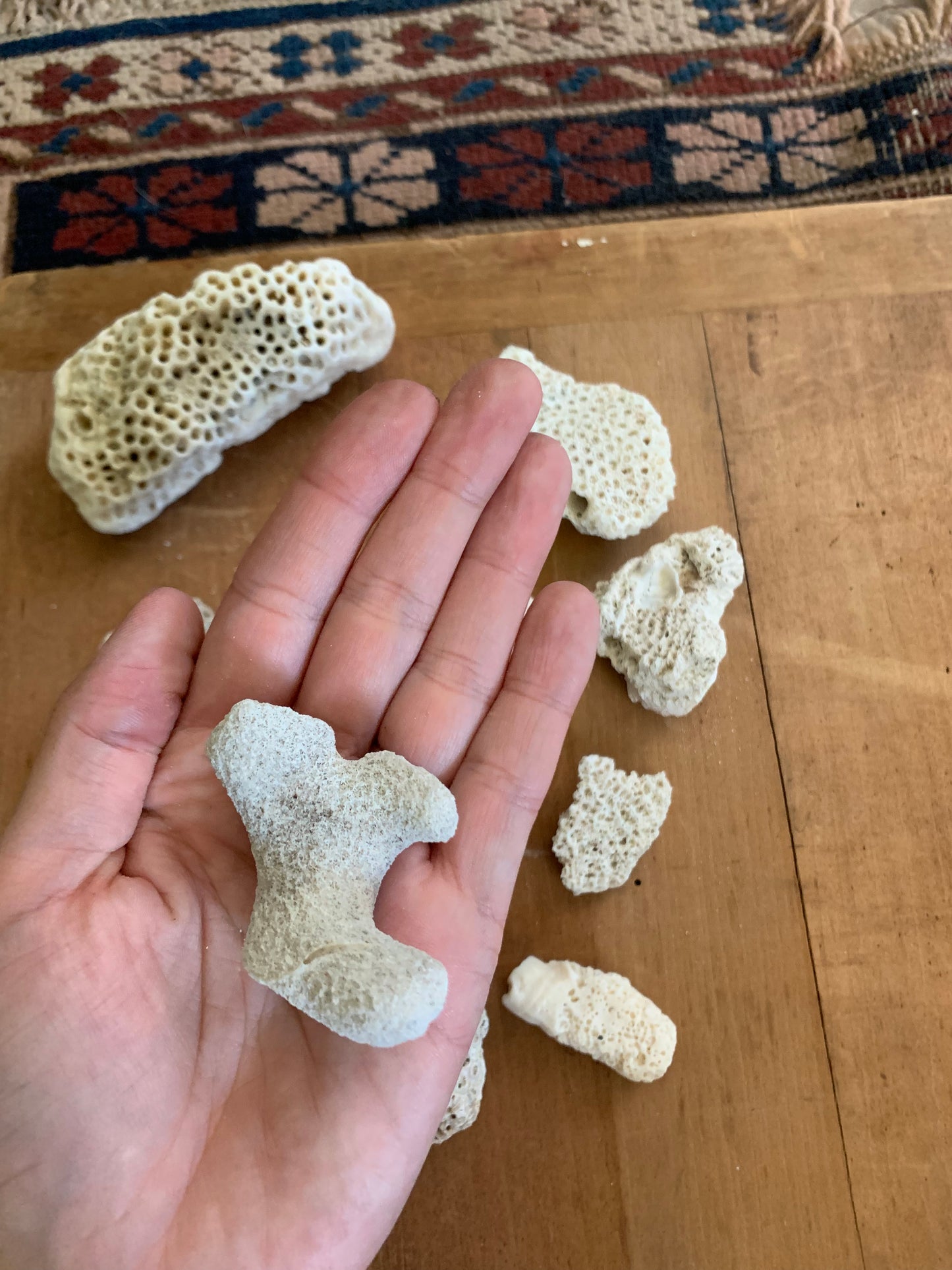 Vintage coral lot