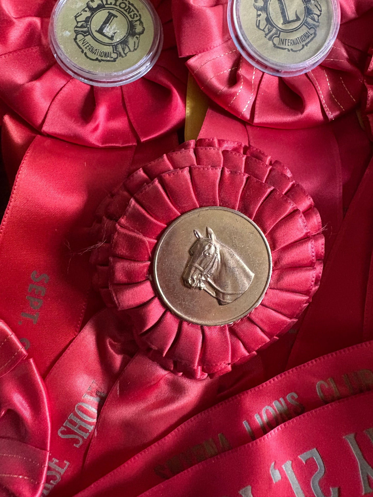 Vintage fair horse showing ribbons