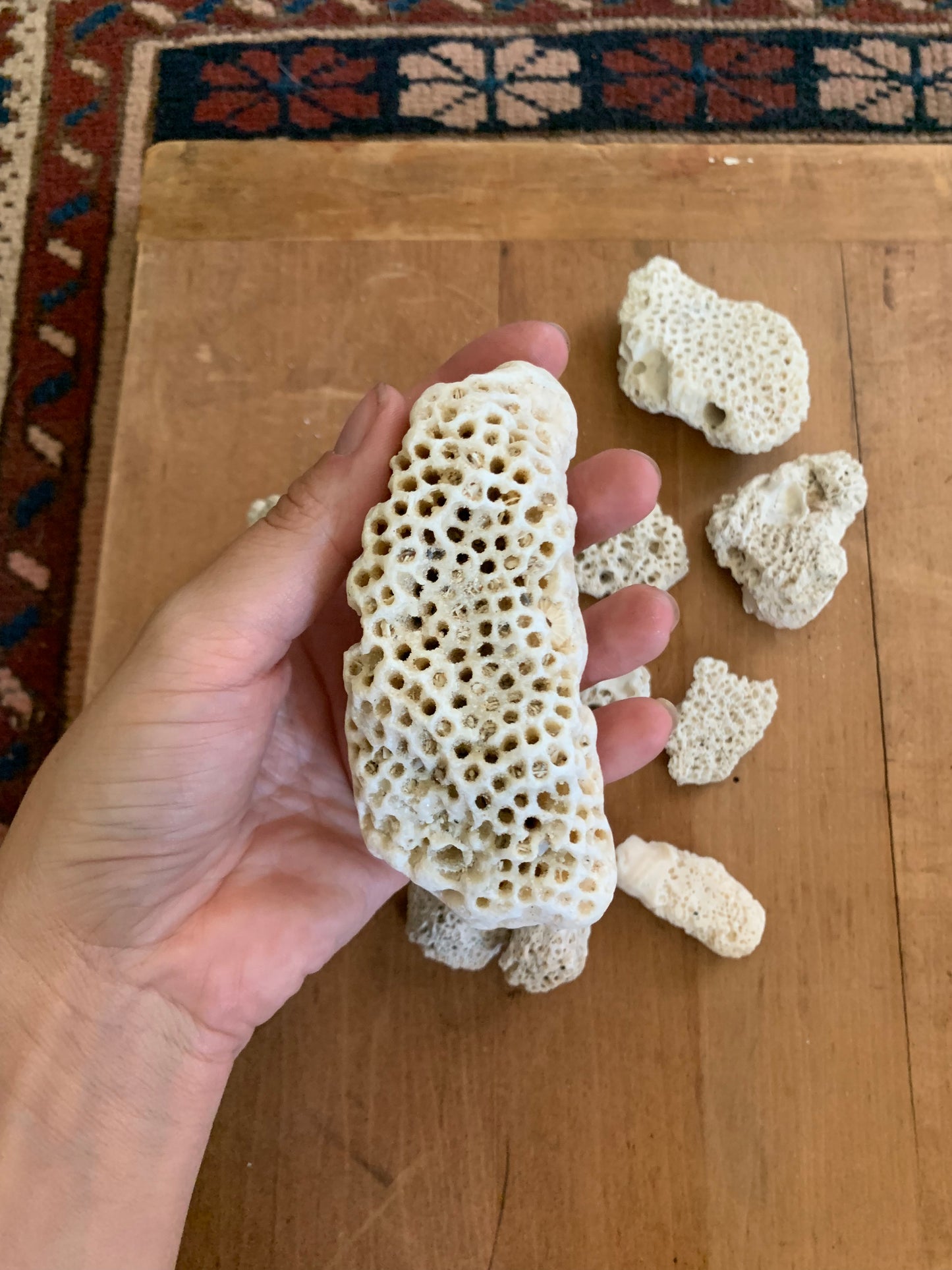 Vintage coral lot