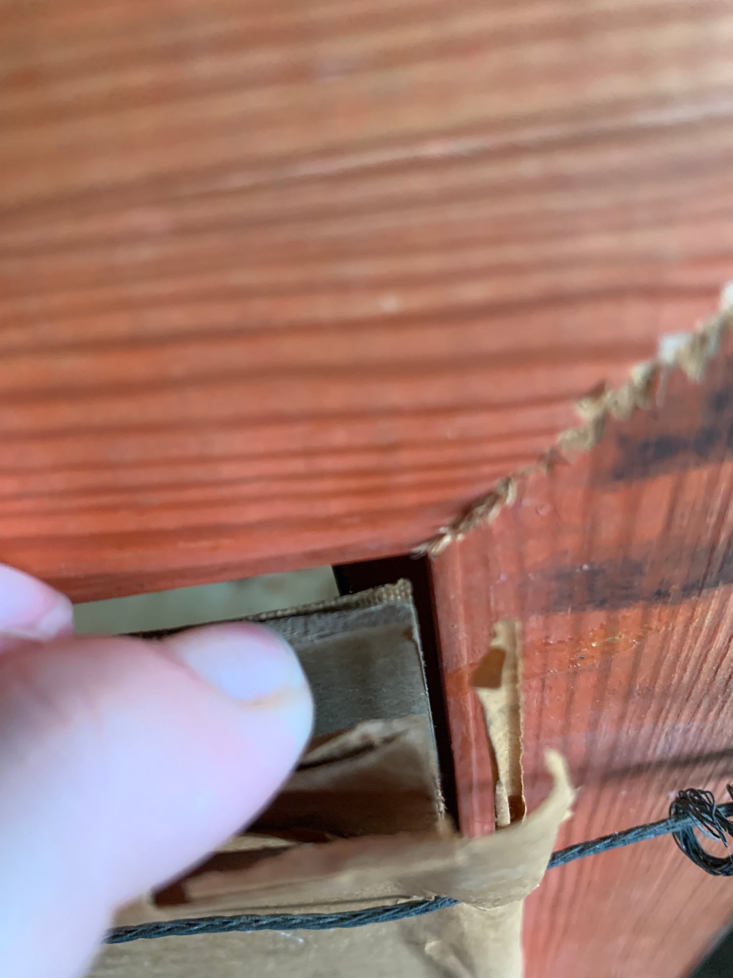 Antique large portrait painting of gentleman on canvas in frame