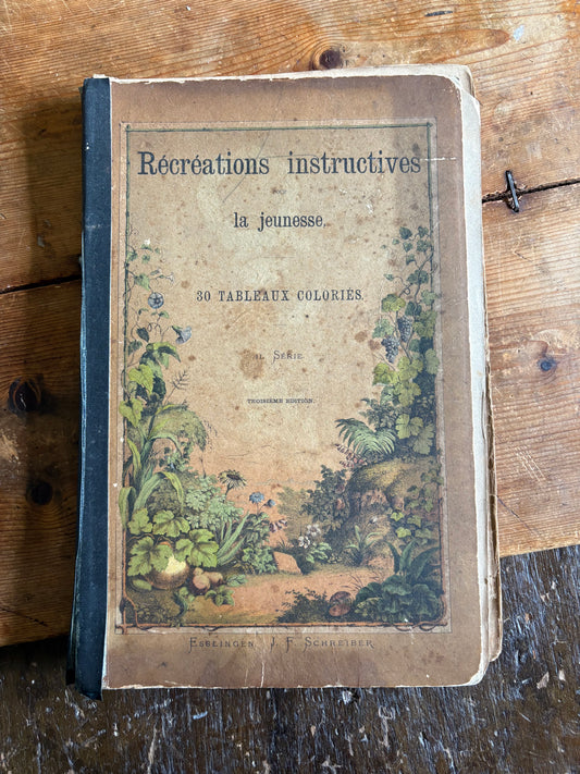 Rare Antique French botanical illustration book with 30 prints