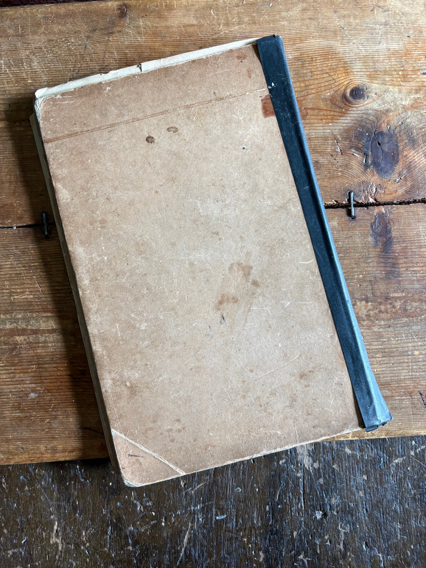 Rare Antique French botanical illustration book with 30 prints