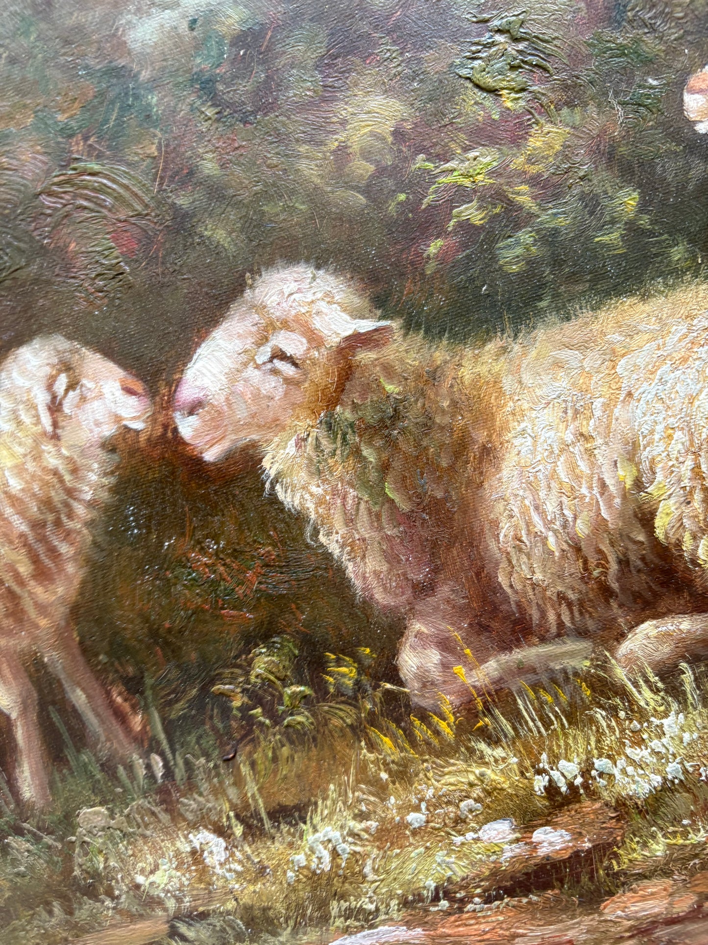 Vintage oil sheep painting on canvas