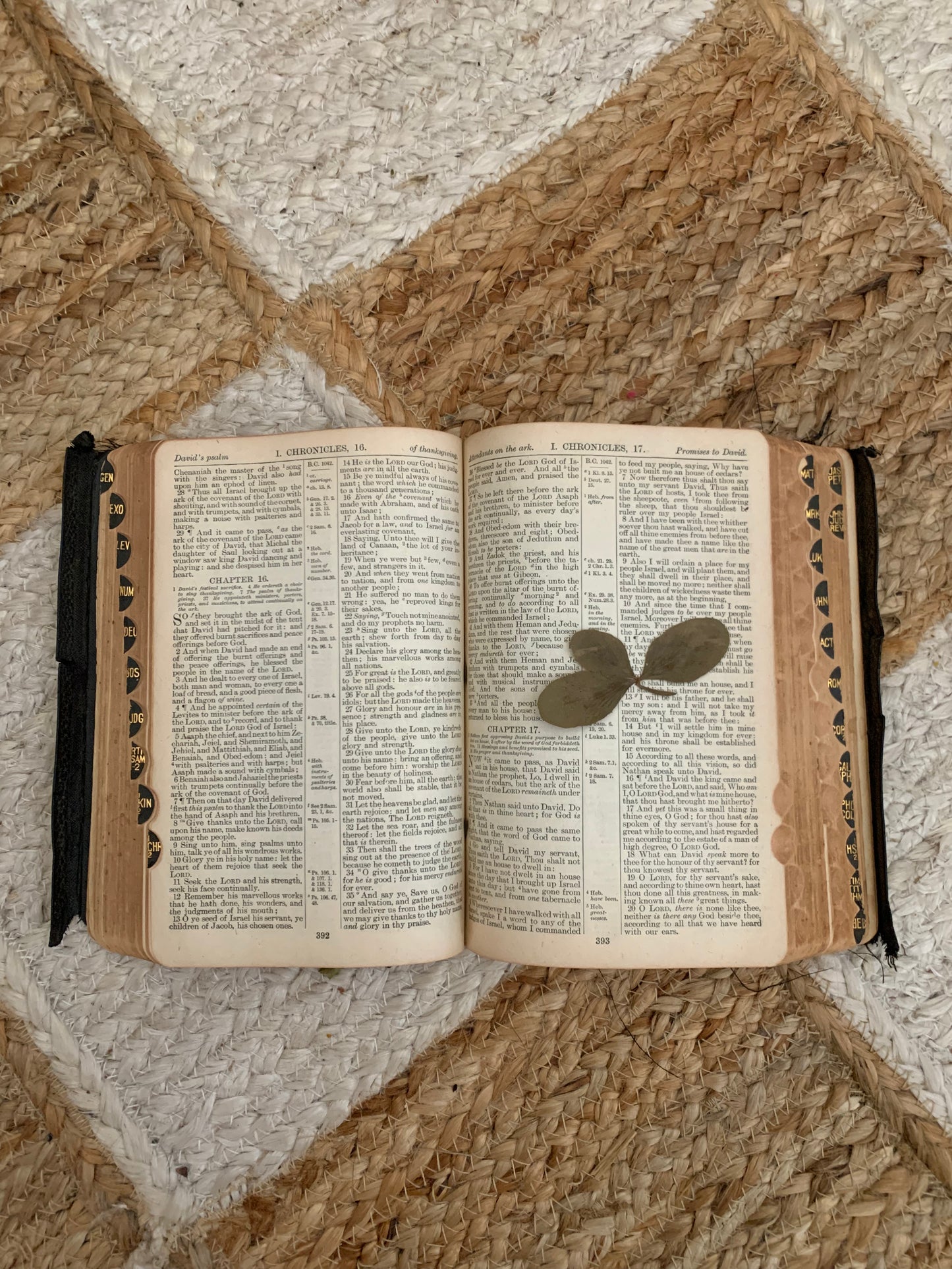 Vintage leather tabbed bible with pressed flower