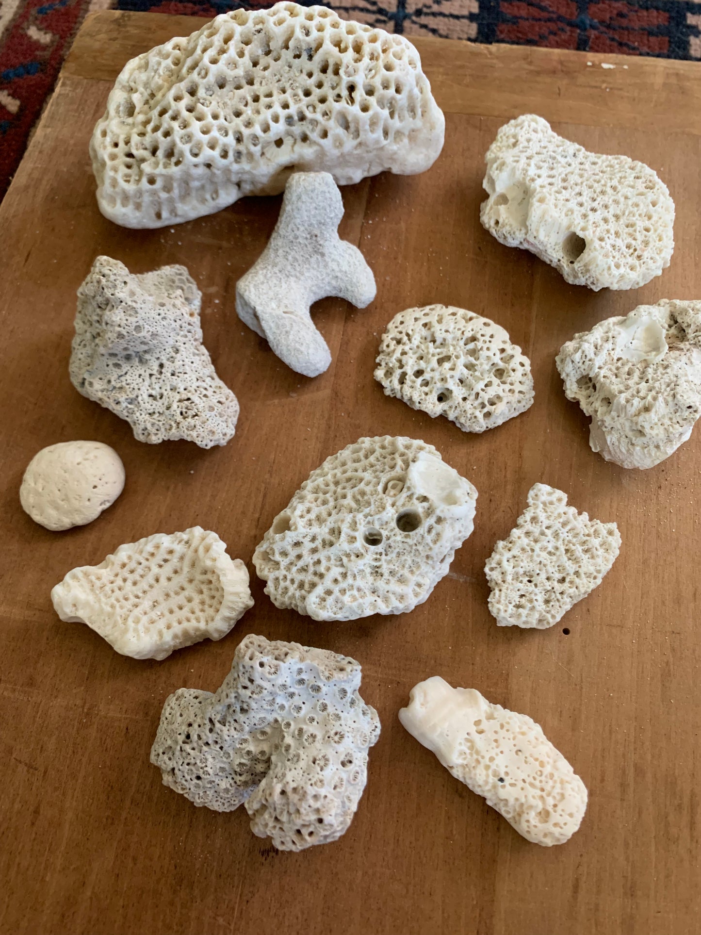 Vintage coral lot