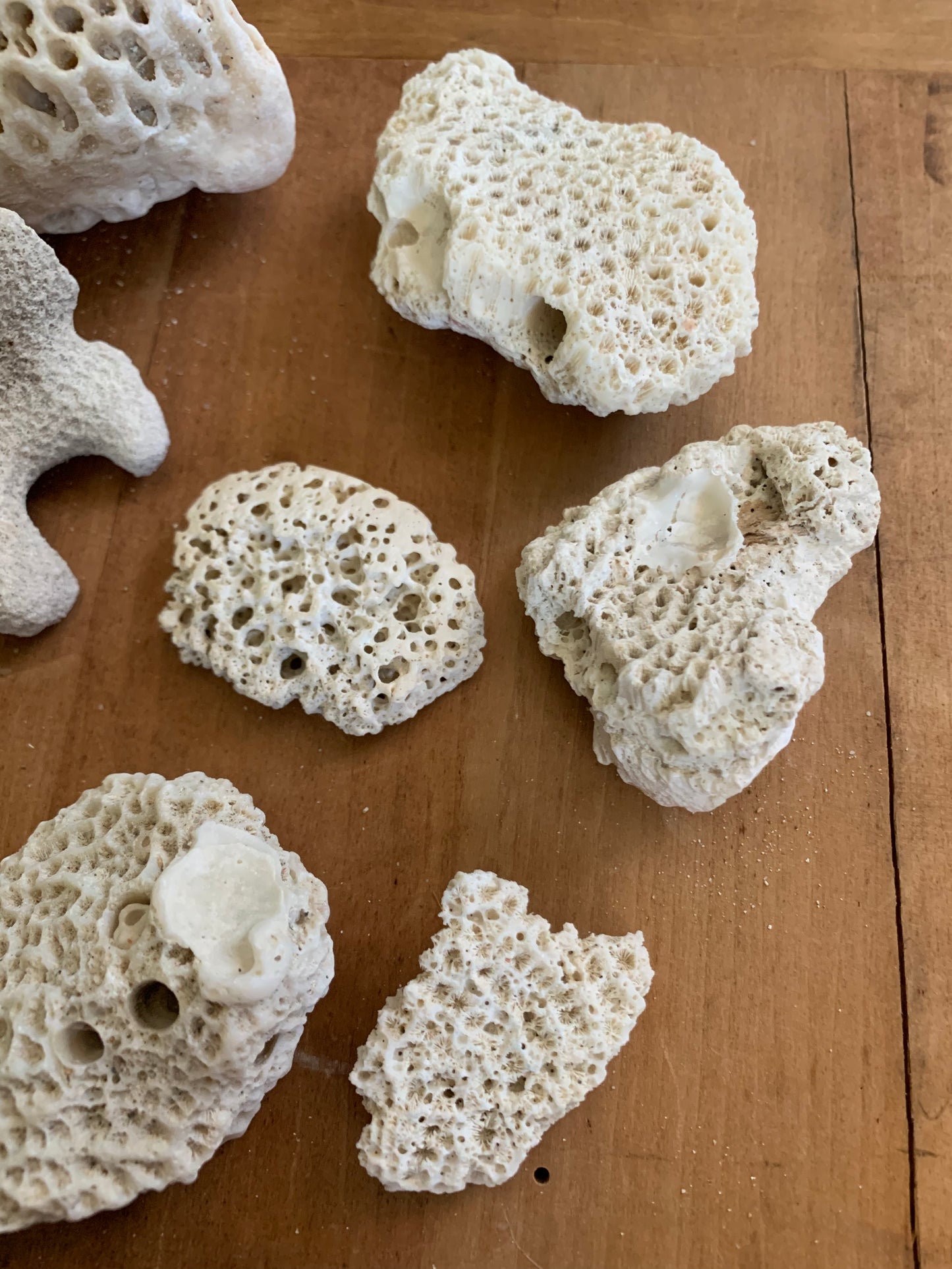 Vintage coral lot