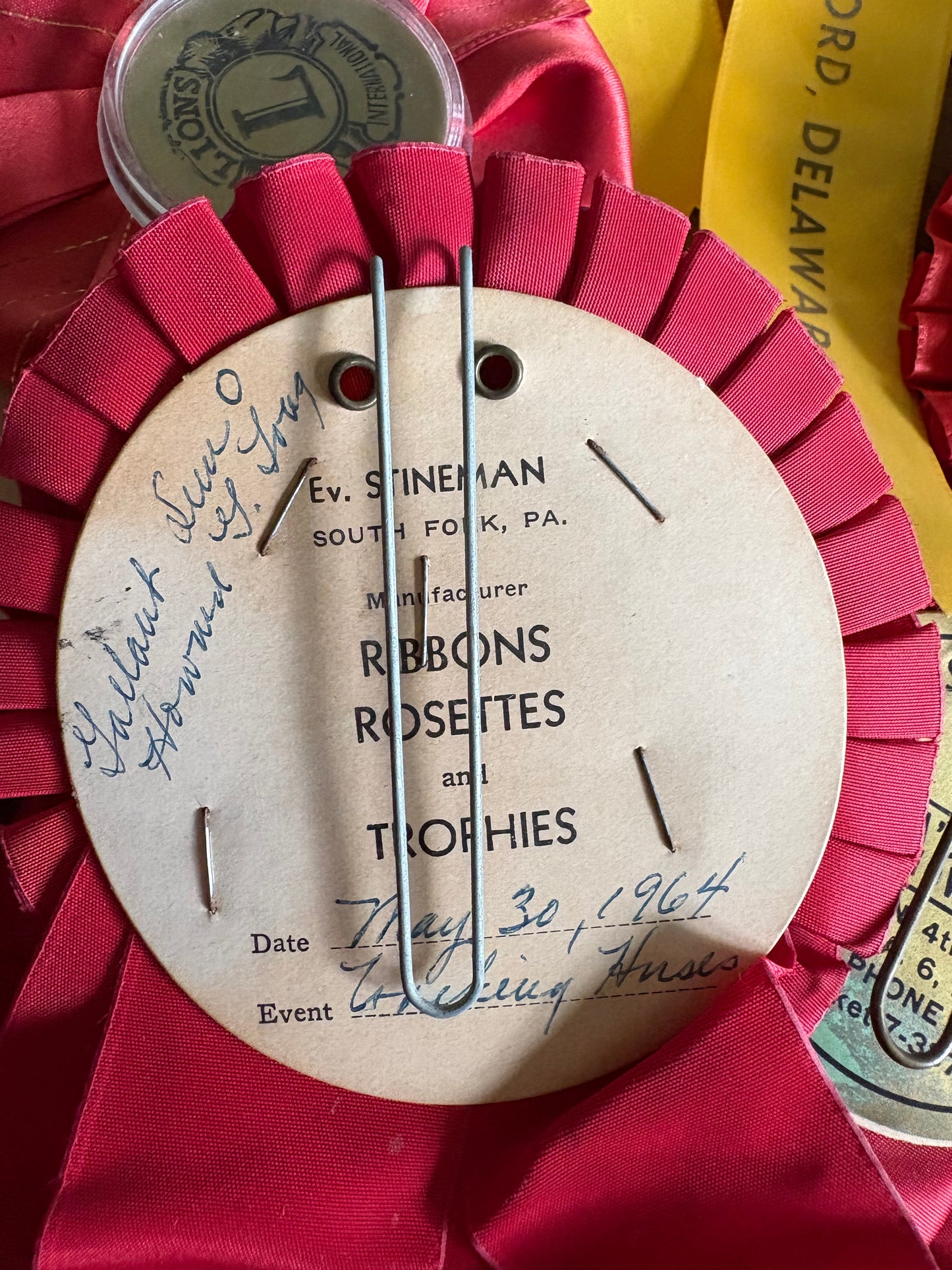 Vintage fair horse showing ribbons