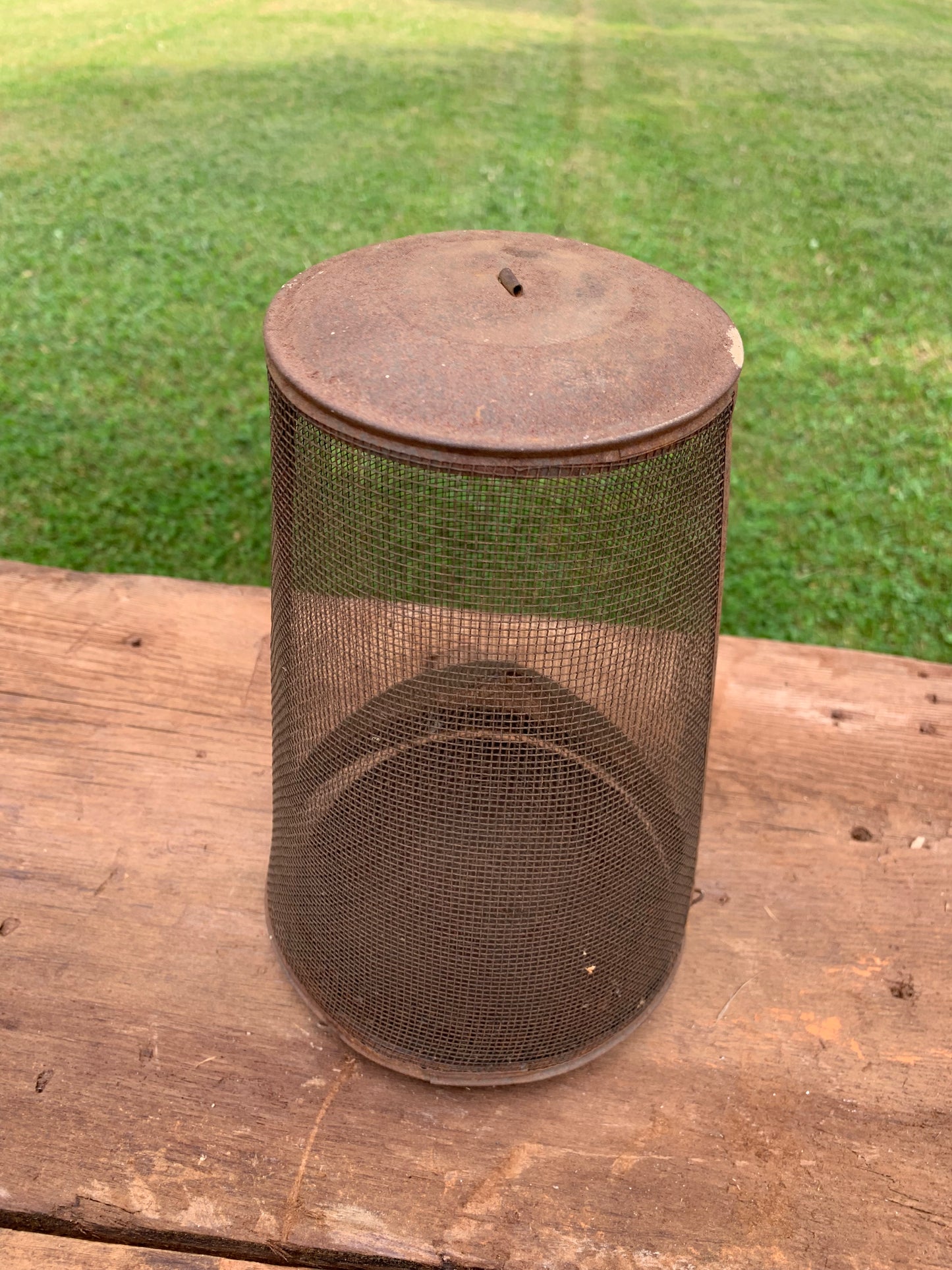 Vintage metal rusty fly catcher