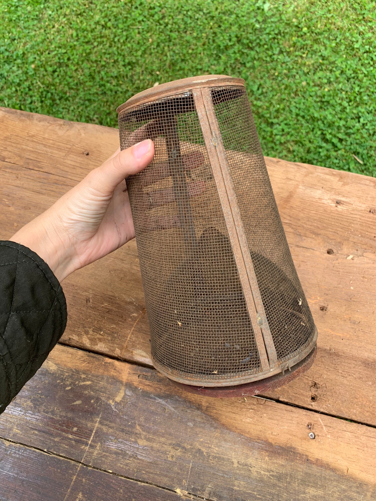 Vintage metal rusty fly catcher