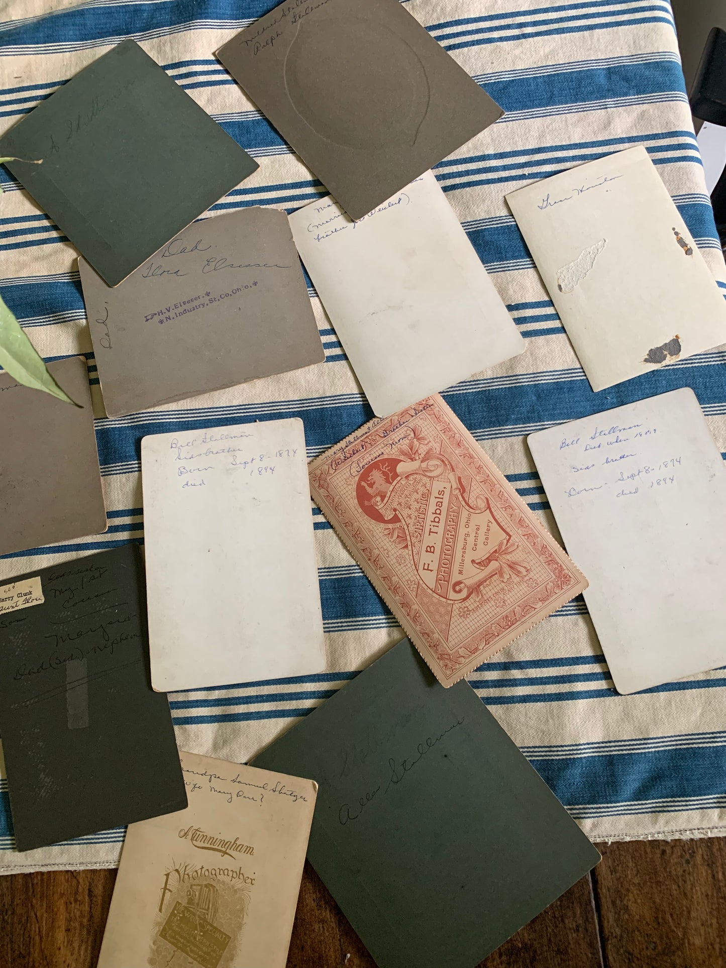 Antique photo lot