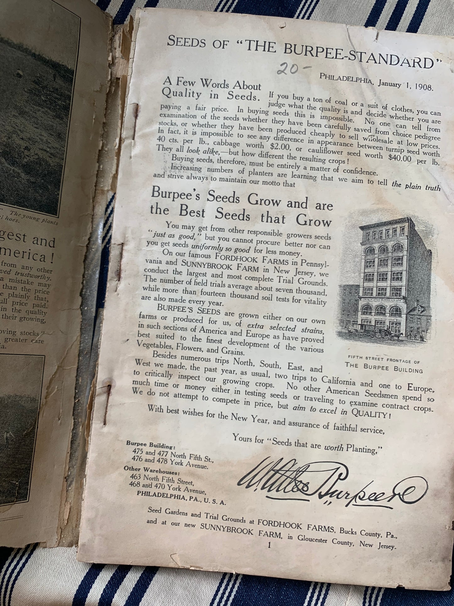 Rare Antique 1908 Burpee seed annual