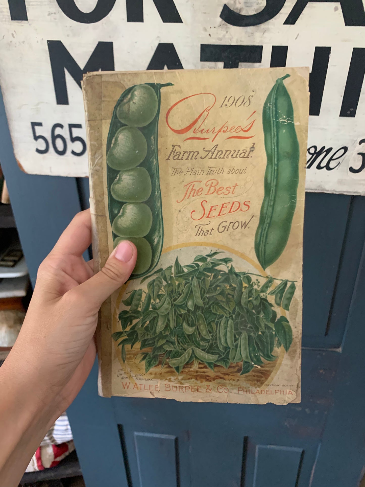 Rare Antique 1908 Burpee seed annual