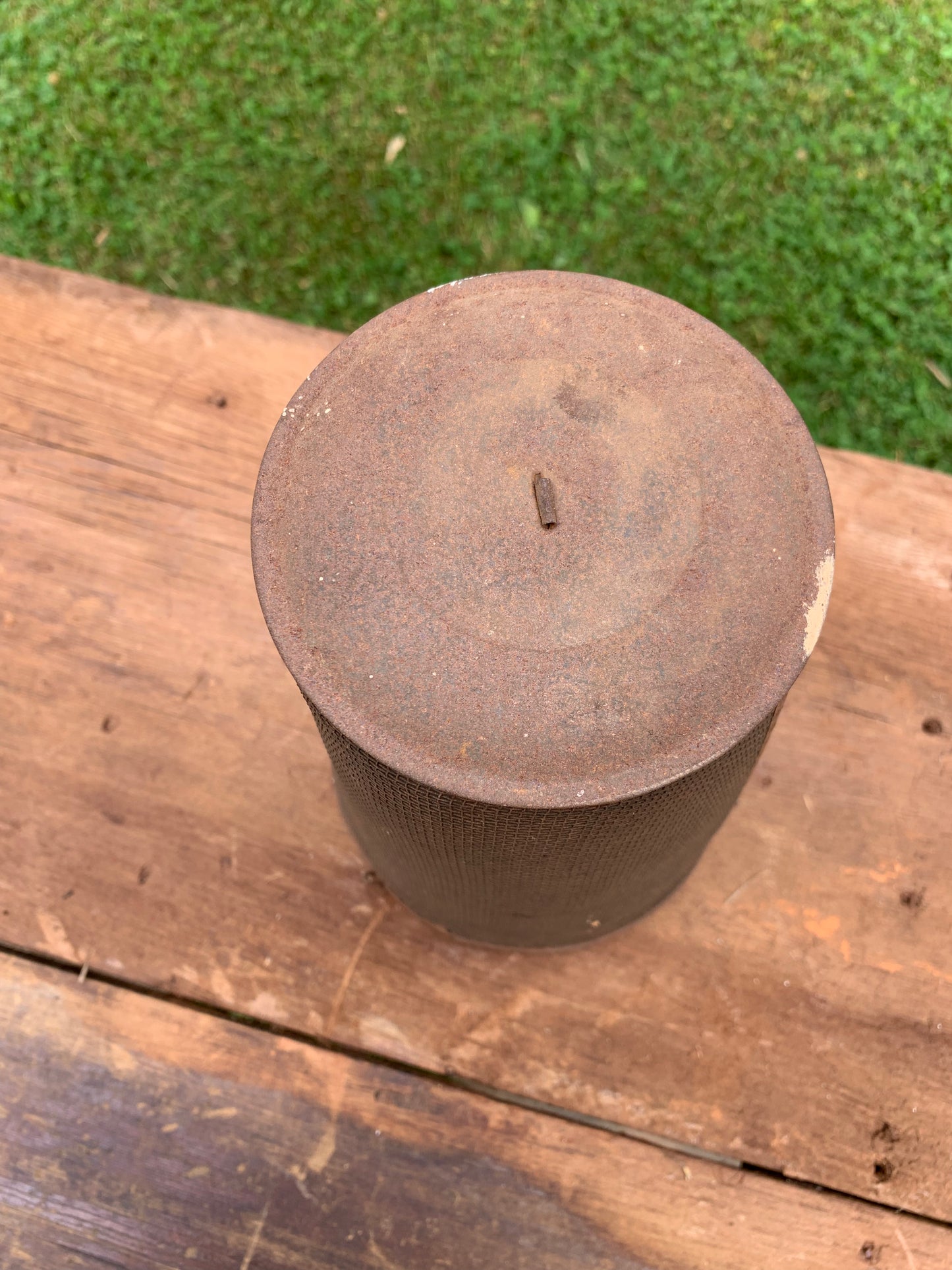 Vintage metal rusty fly catcher