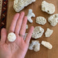 Vintage coral lot