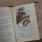Antique HYMNS book 1800s with dried flowers