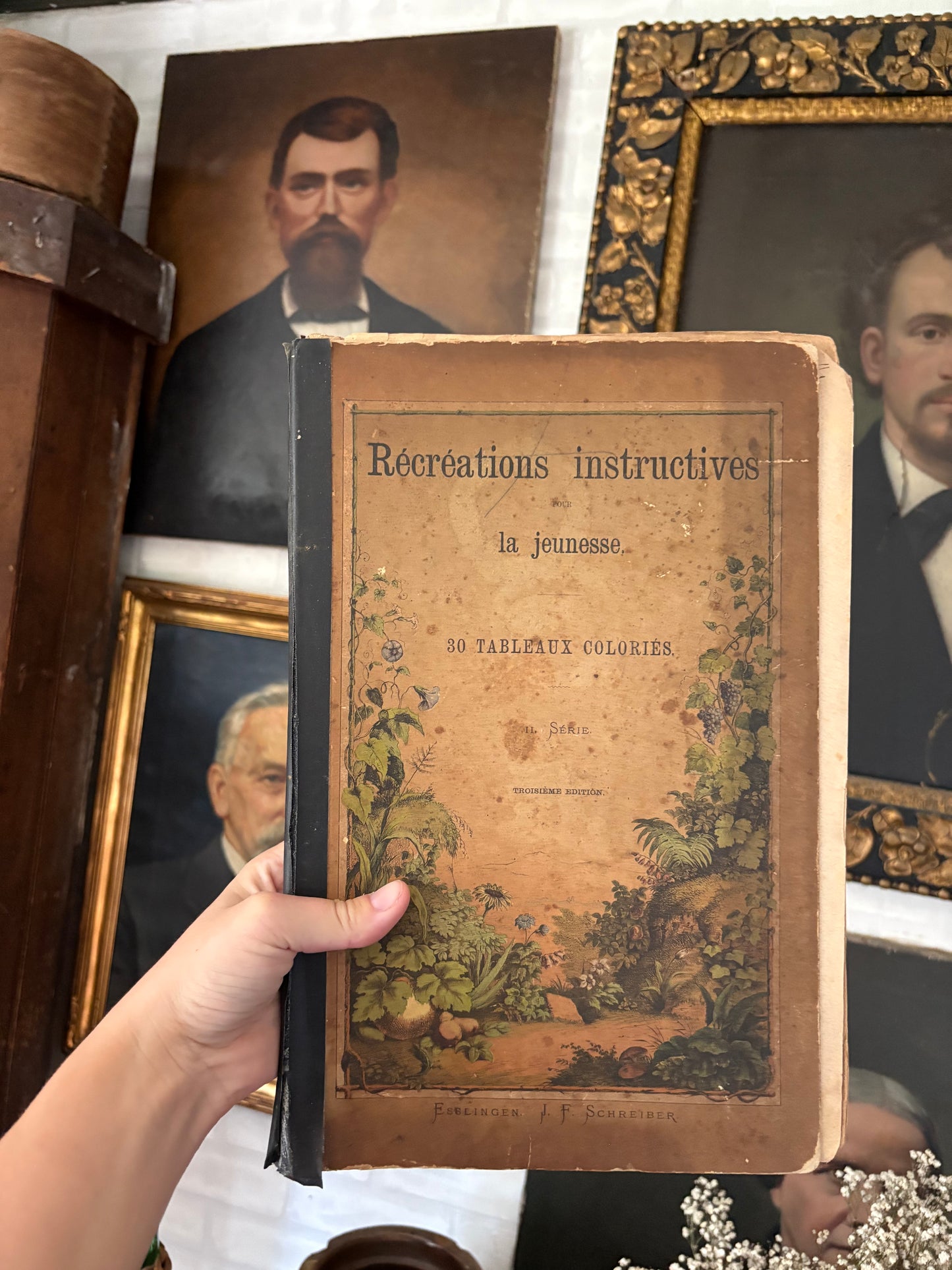 Rare Antique French botanical illustration book with 30 prints