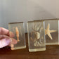 Vintage taxidermy sea specimen in acrylic block