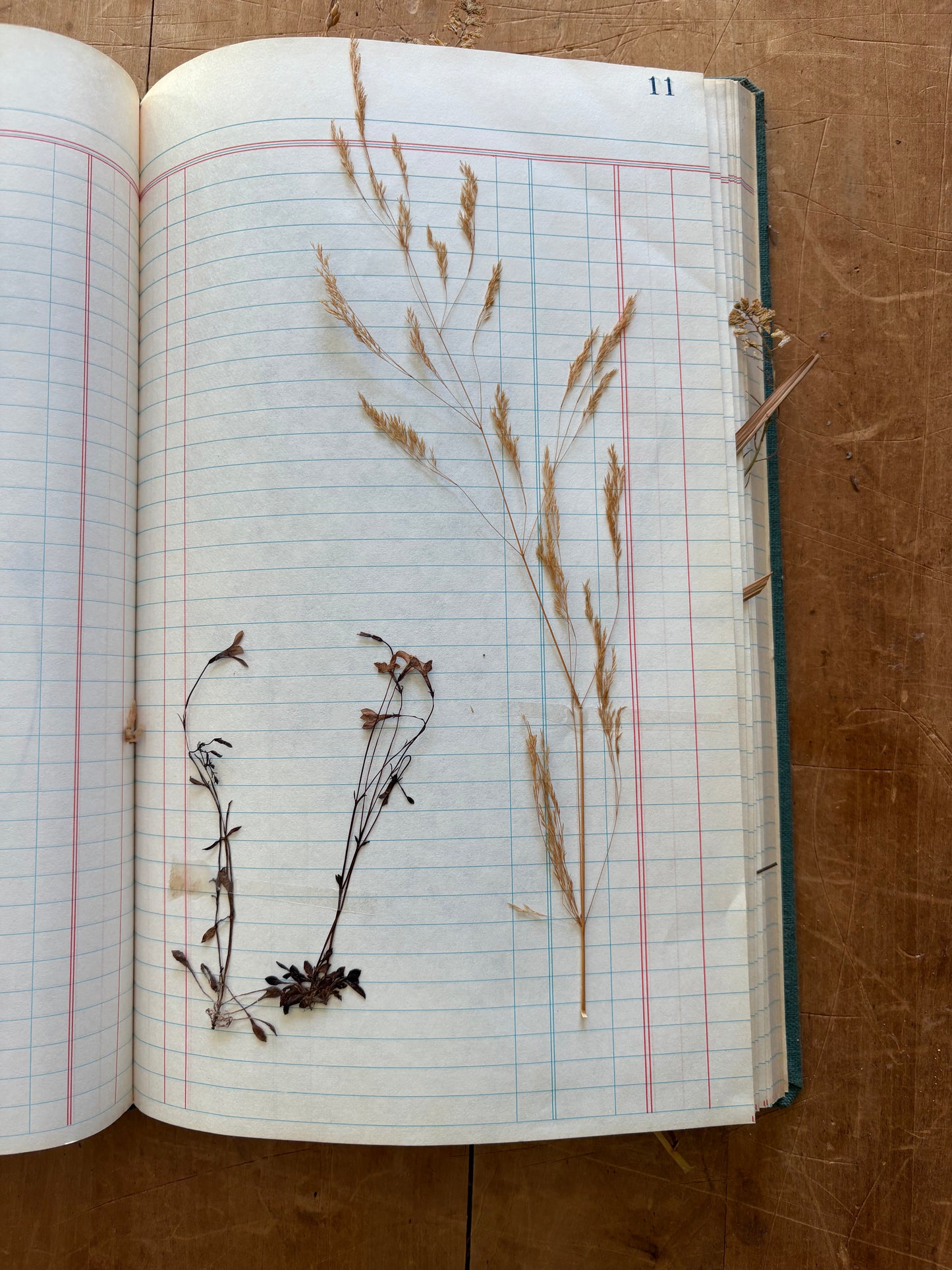Vintage journal with dried flowers