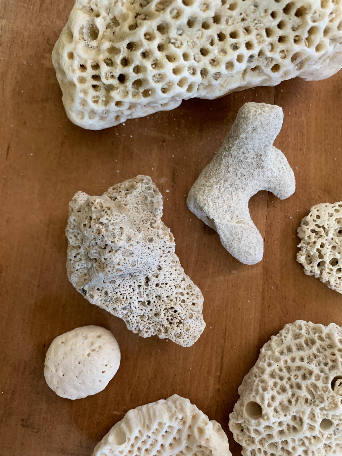 Vintage coral lot
