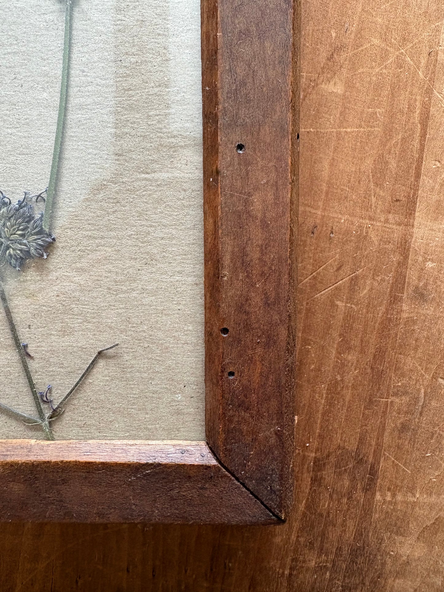 Antique wooden flower press