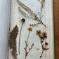 Vintage journal with dried flowers