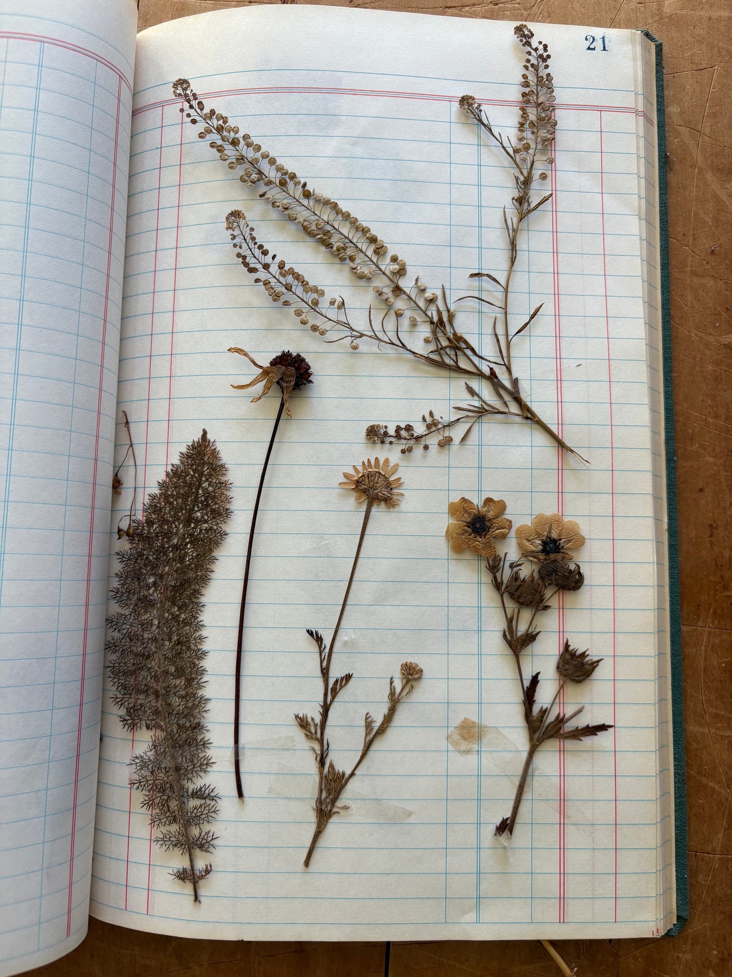 Vintage journal with dried flowers