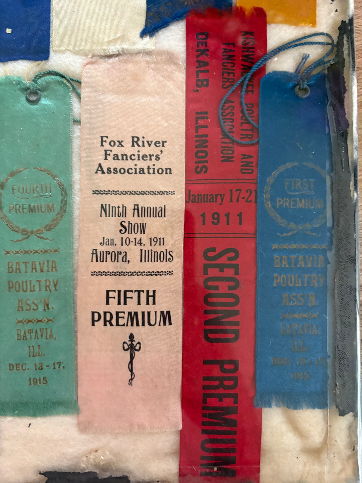 Antique fair poultry ribbons early 1900s