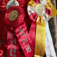 Vintage fair horse showing ribbons