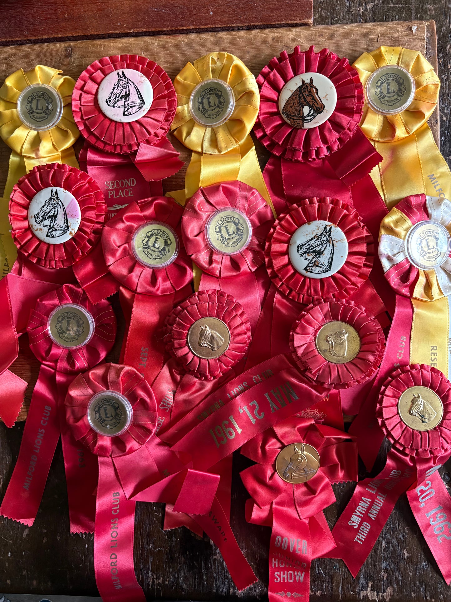 Vintage fair horse showing ribbons