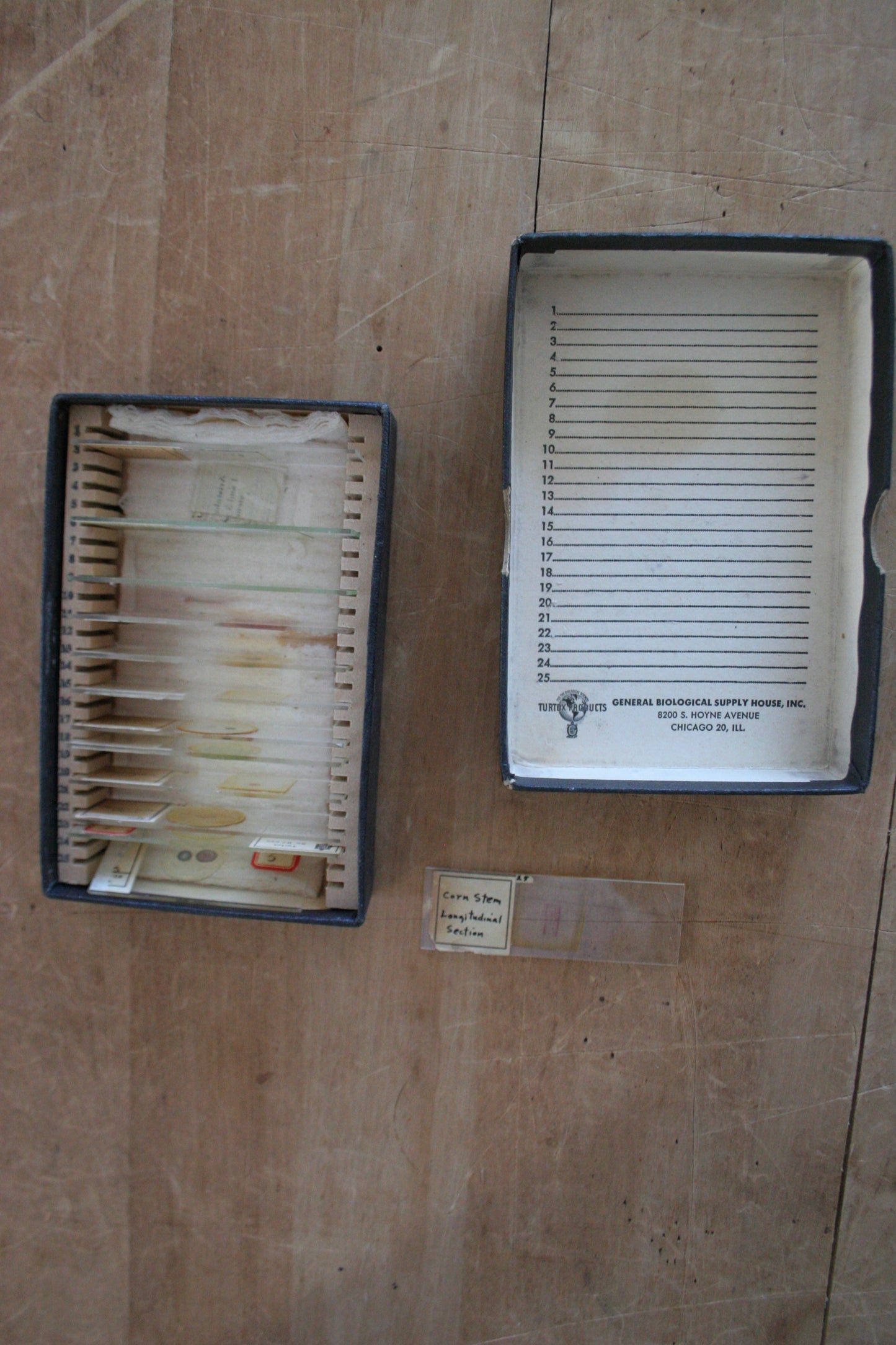 Antique 1918 Microscope Slides Medical & Plants in box