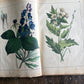 Rare Antique French botanical illustration book with 30 prints