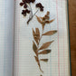 Vintage journal with dried flowers