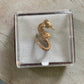Vintage taxidermy sea horse