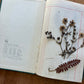 Vintage journal with dried flowers