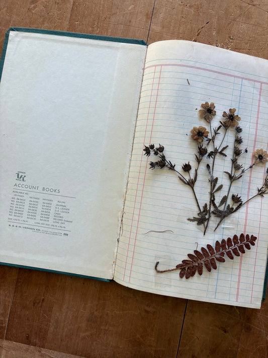 Vintage journal with dried flowers