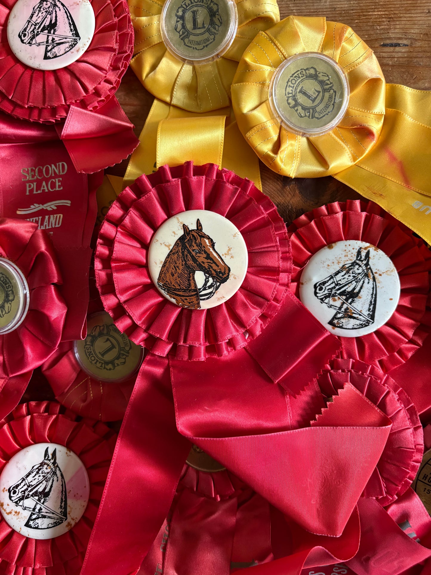 Vintage fair horse showing ribbons