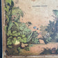Rare Antique French botanical illustration book with 30 prints