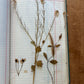 Vintage journal with dried flowers