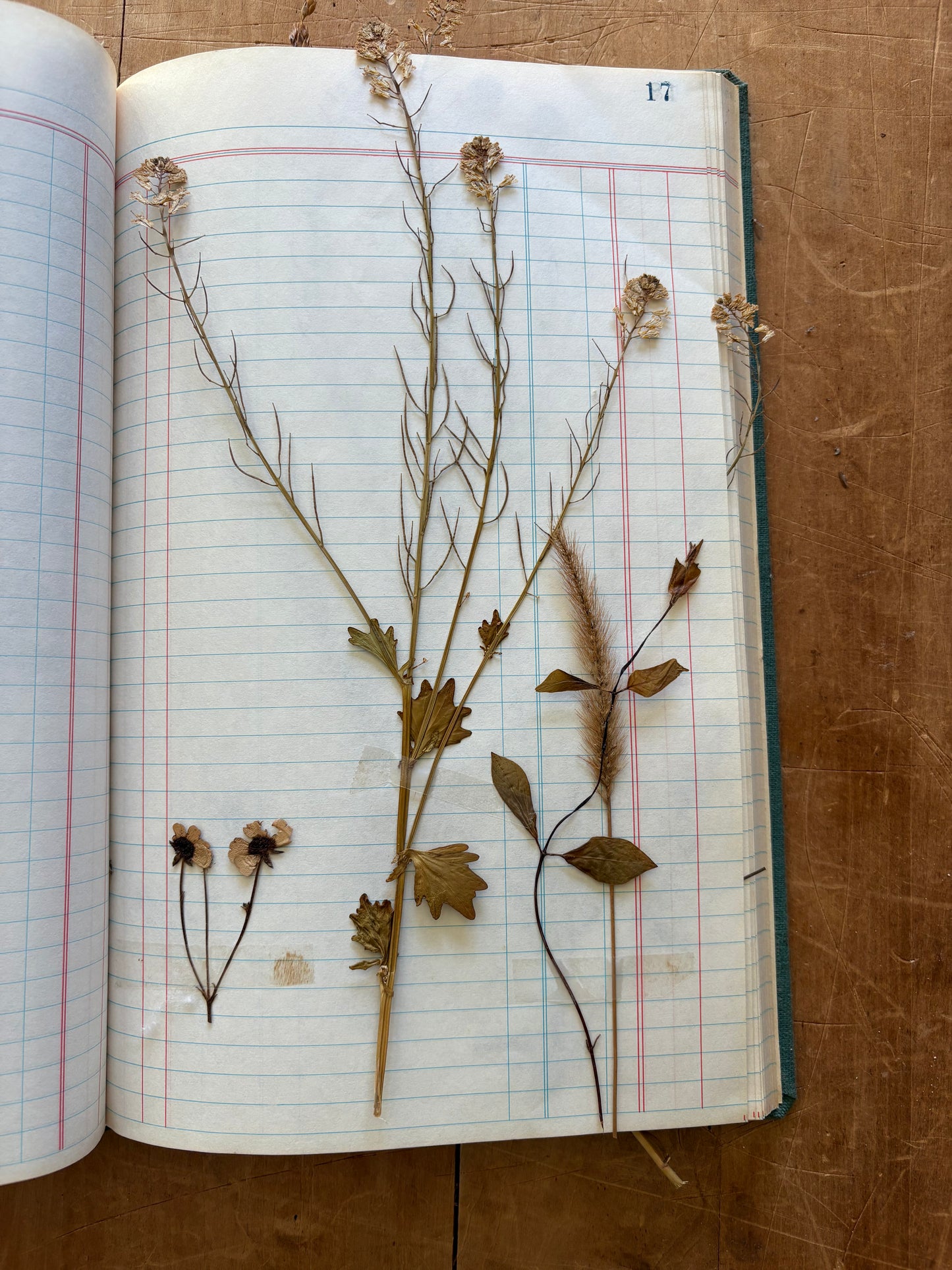 Vintage journal with dried flowers