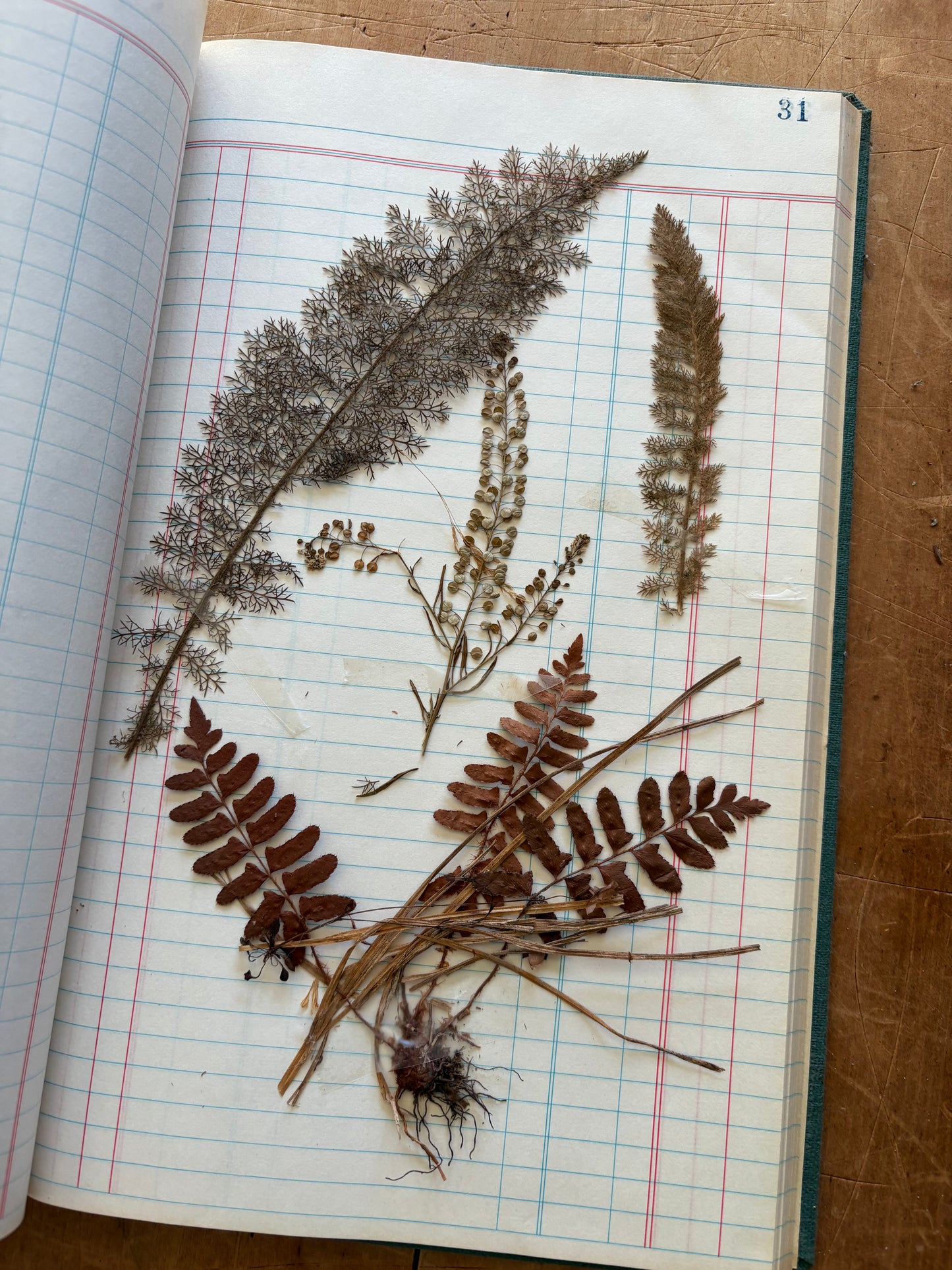 Vintage journal with dried flowers