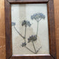 Antique wooden flower press