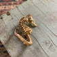Vintage taxidermy sea horse