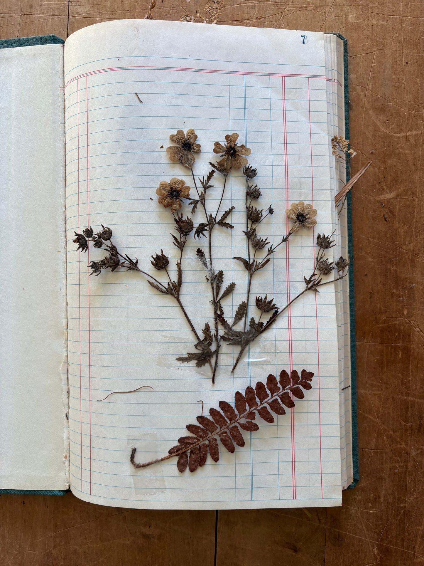 Vintage journal with dried flowers